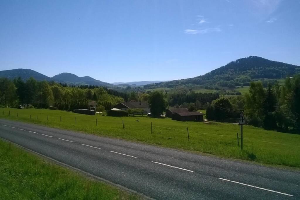 Les Gites De L Etang :Studio A 20 Mn De Gerardmer La Chapelle  Eksteriør bilde