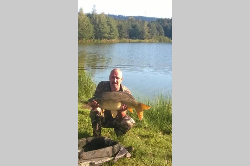 Les Gites De L Etang :Studio A 20 Mn De Gerardmer La Chapelle  Eksteriør bilde