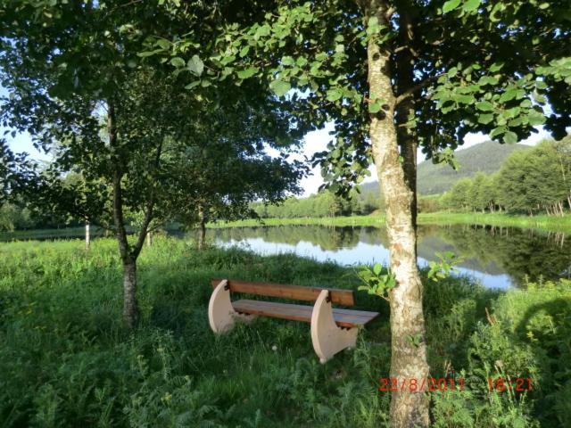 Les Gites De L Etang :Studio A 20 Mn De Gerardmer La Chapelle  Eksteriør bilde