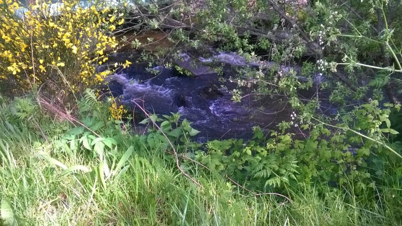 Les Gites De L Etang :Studio A 20 Mn De Gerardmer La Chapelle  Eksteriør bilde