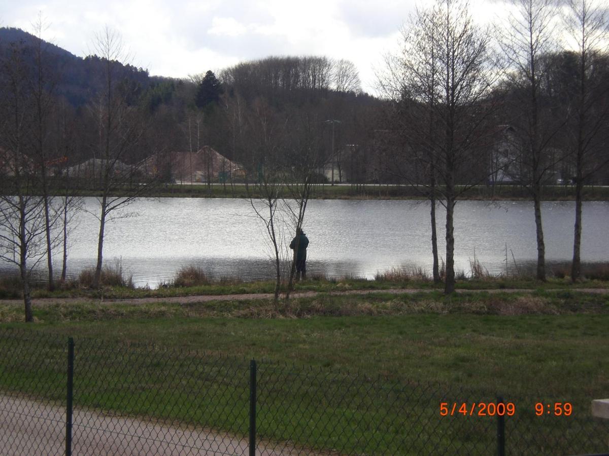 Les Gites De L Etang :Studio A 20 Mn De Gerardmer La Chapelle  Eksteriør bilde
