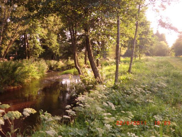 Les Gites De L Etang :Studio A 20 Mn De Gerardmer La Chapelle  Eksteriør bilde