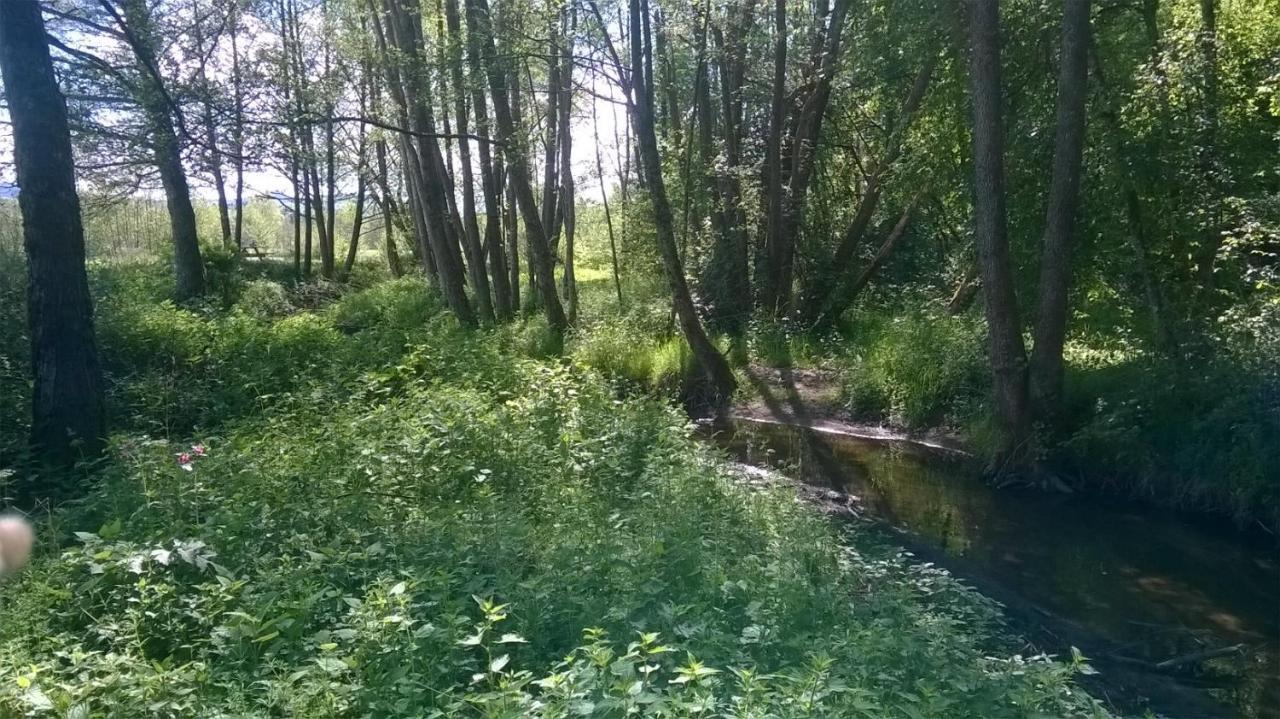 Les Gites De L Etang :Studio A 20 Mn De Gerardmer La Chapelle  Eksteriør bilde