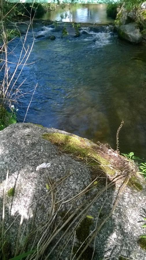 Les Gites De L Etang :Studio A 20 Mn De Gerardmer La Chapelle  Eksteriør bilde