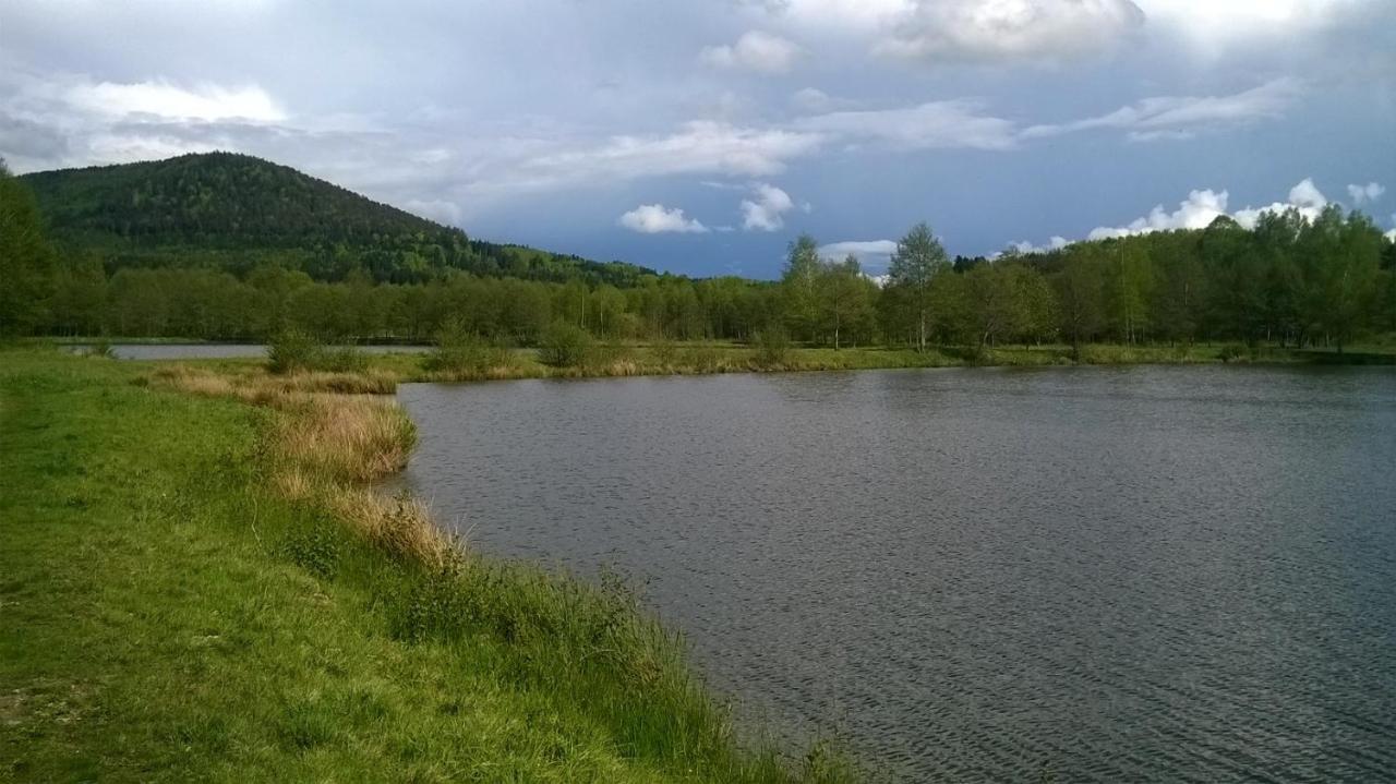 Les Gites De L Etang :Studio A 20 Mn De Gerardmer La Chapelle  Eksteriør bilde