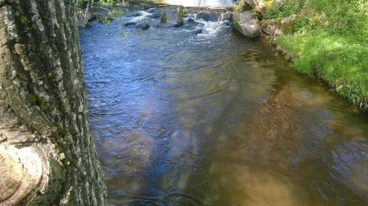 Les Gites De L Etang :Studio A 20 Mn De Gerardmer La Chapelle  Eksteriør bilde